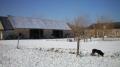 Hiver 2009