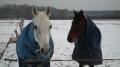 Hiver 2009